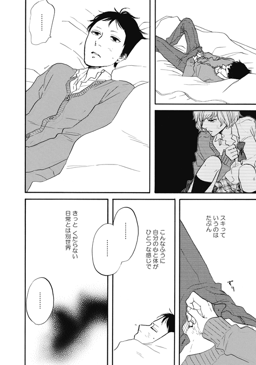 hibari1_honmon1.jpg