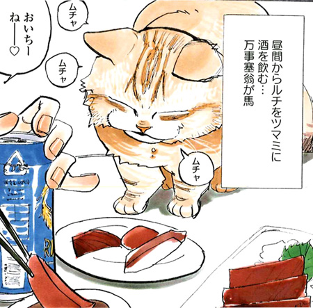 neko4.jpg