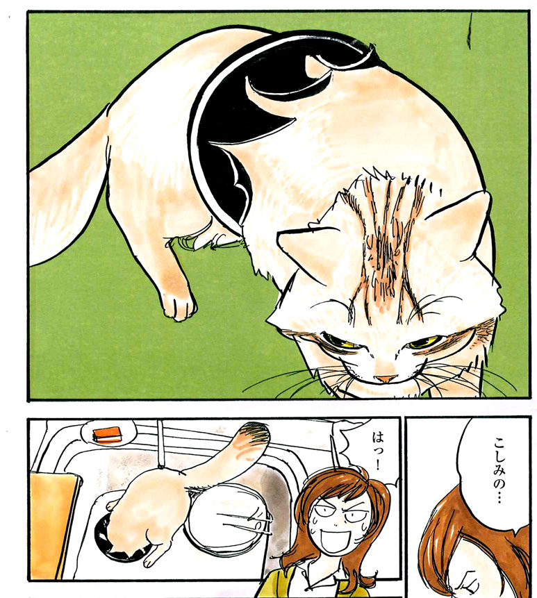neko5.jpg