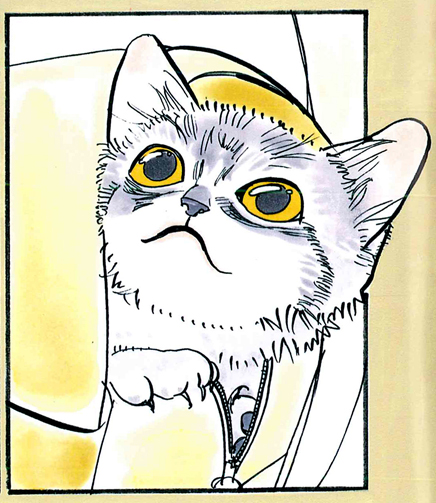 neko7.jpg