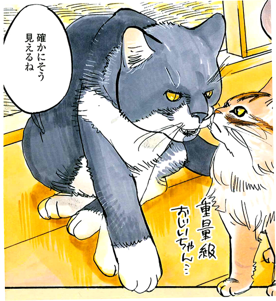 neko9.jpg
