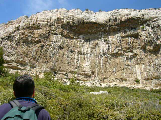pari6_photo2.jpg
