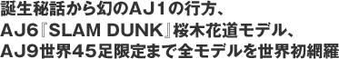 誕生秘話から幻のAJ1の行方、AJ6『SLAM DUNK』桜木花道モデル、AJ9世界45足限定まで全モデルを世界初網羅