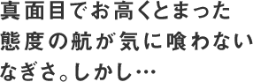 真面目でお高くとまった態度の航が気に喰わないなぎさ。しかし…