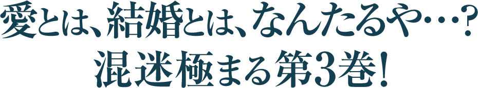 愛とは、結婚とは、なんたるや…？混迷極まる第3巻！