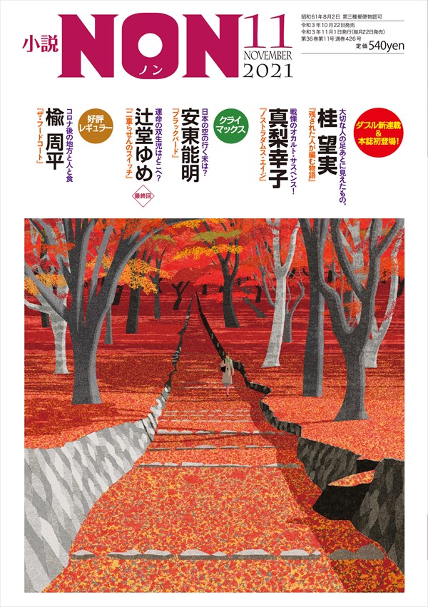 小説non 小説non