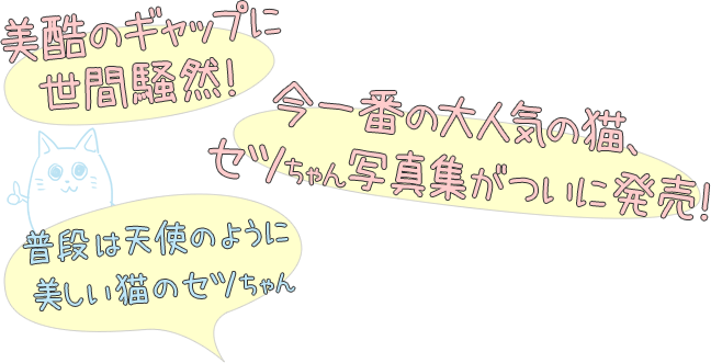 美酷のギャップに
世間騒然！
今一番の大人気の猫、
セツちゃん写真集がついに発売！
普段は天使のように
美しい猫のセツちゃん