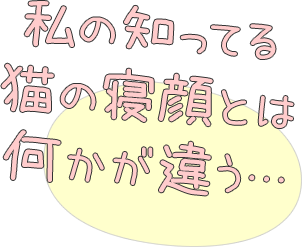 私の知ってる
猫の寝顔とは
何かが違う…