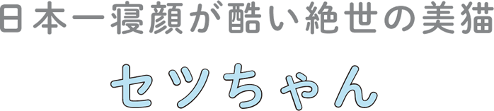 日本一寝顔が酷い絶世の美猫セツちゃん