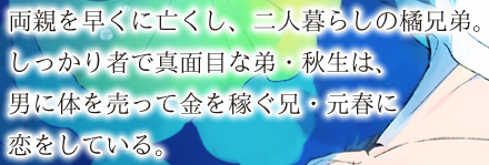 両親を早くに亡くし、二人暮らしの橘兄弟。しっかり者で真面目な弟・秋生は、男に体を売って金を稼ぐ兄・元春に恋をしている。