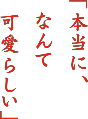 「本当に、なんて可愛らしい」