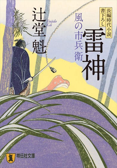 風の市兵衛シリーズ　１〜２２ 長編時代小説